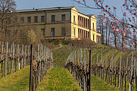 Schloss Villa Ludwigshöhe
