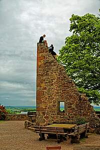 Burg Landeck