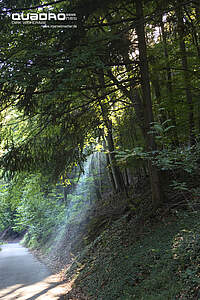 Madenburg