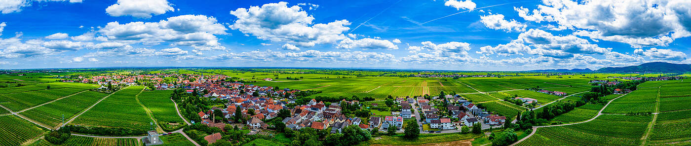 Das wunderschöne Edesheim in der Pfalz