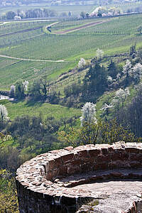 Burg Landeck