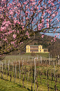 Schloss Villa Ludwigshöhe