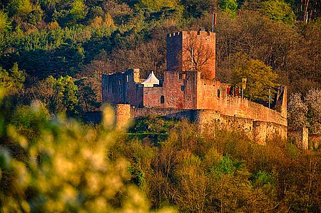 Burg Landeck in Klingenmünster Burg Landeck in Klingenmünster