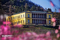 Schloss Villa Ludwigshöhe