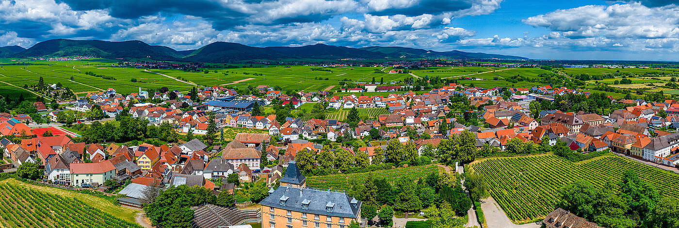 Edesheim aus der Luft